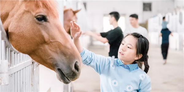 2024新澳门原料网大全