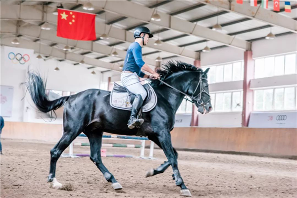2024新澳门原料网大全