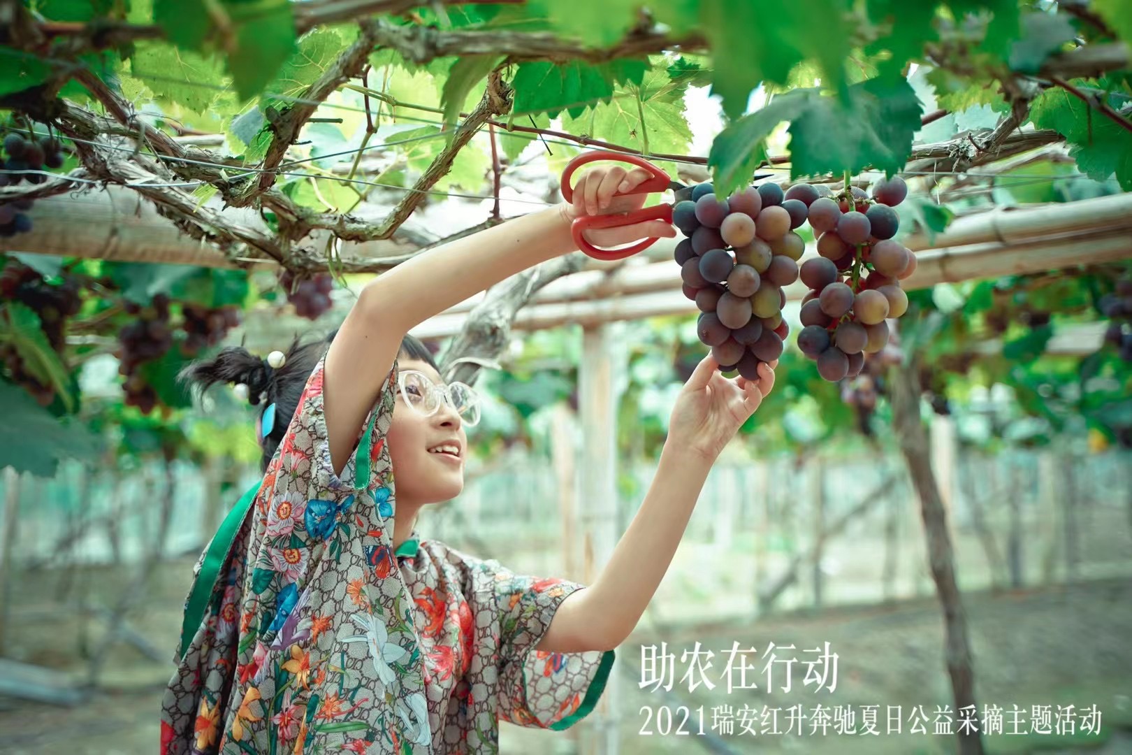 2024新澳门原料网大全